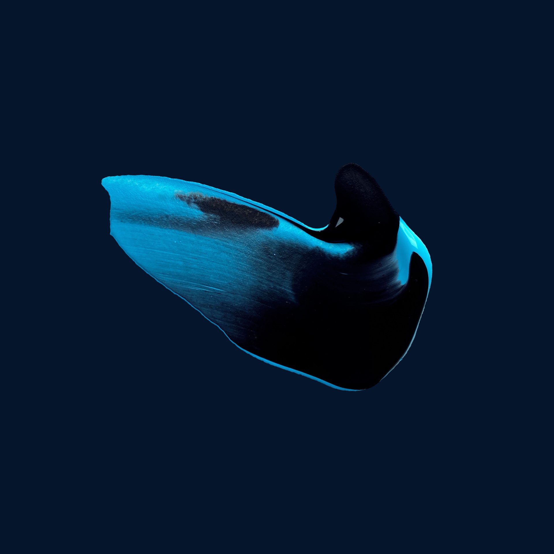 I'm the Ocean — painting by Roberto Grosso